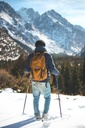 Hiking Backpack 20 Litre Nh100 - Black/grey
